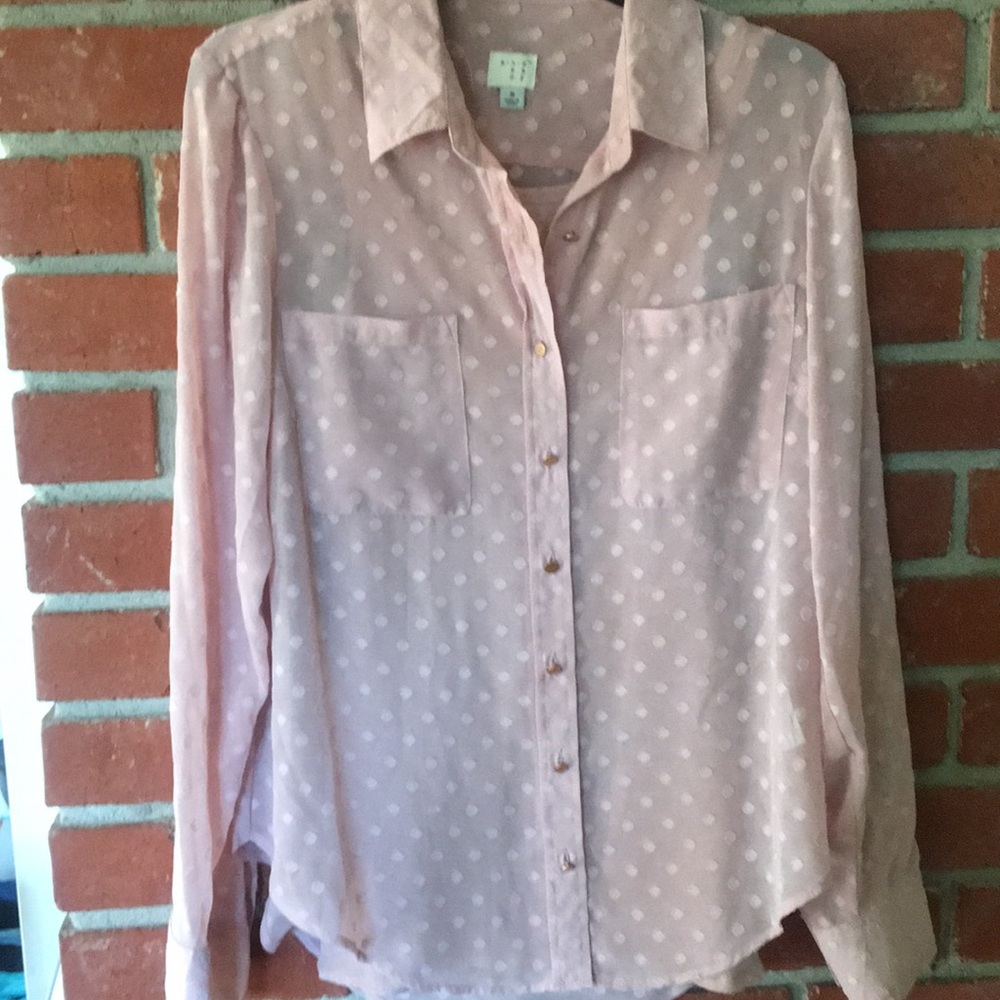 Sheer ‘Blush’ Blouse & matching sparkly tee